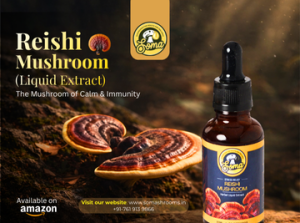 Functional Mushrooms