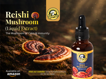 Functional Mushrooms