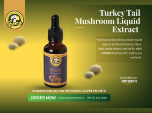 Turkey Tail Mushroom Liquid Extract