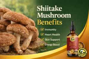 Shiitake Mushroom Benefits