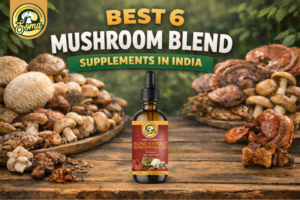 Best 6 Mushroom Blend Supplement in India