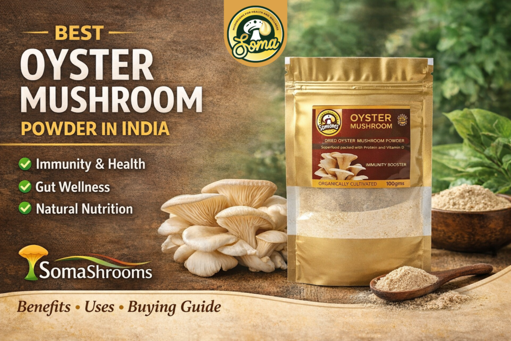Best Oyster Mushroom Powder in India