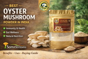 Best Lion’s Mane Mushroom Extract in India