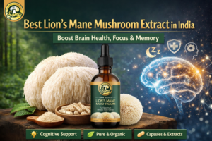 Best Lion’s Mane Mushroom Extract in India