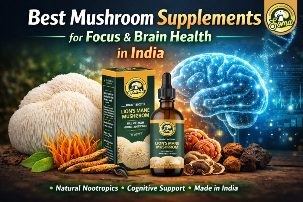 Best Mushroom Supplements for Focus and Brain Health in India