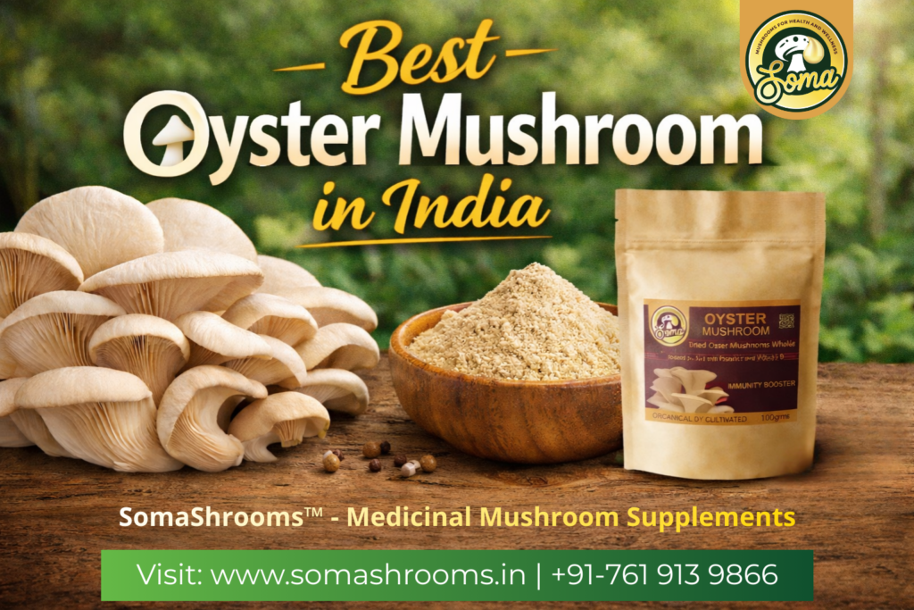Best Oyster Mushroom in India