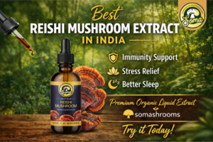 Best Reishi Mushroom Extract in India