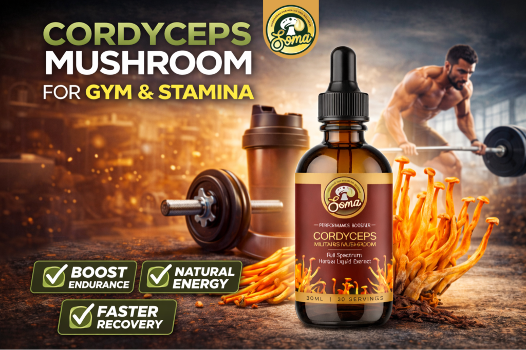 Cordyceps Mushroom Supplement India