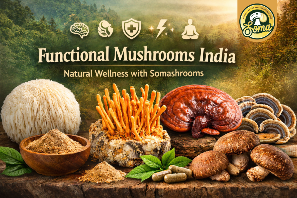 Mushroom Supplements in India