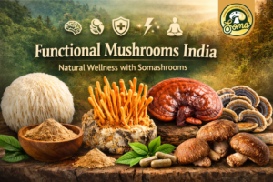 Mushroom Supplements in India