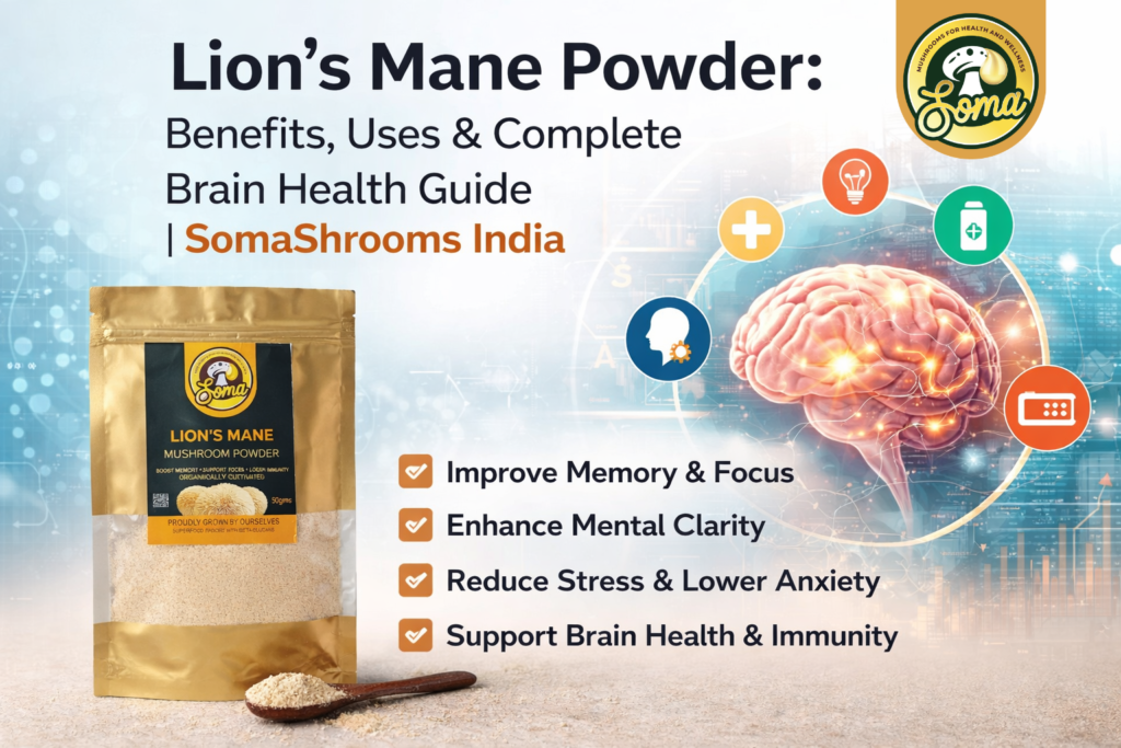 Lion’s Mane Powder benefits