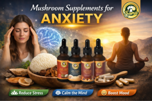 Mushroom Supplements for Anxiety