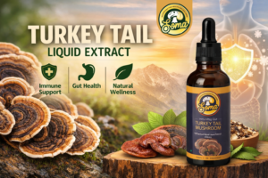 Turkey Tail Liquid Extract