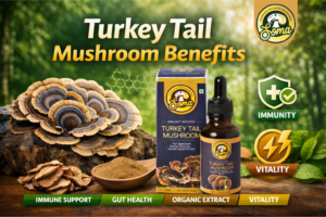 Turkey Tail Mushroom Benefits