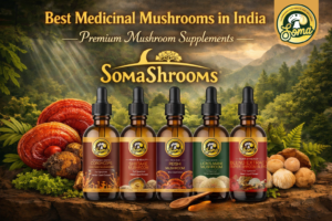 Best Medicinal Mushroom in India