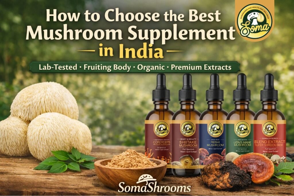 Best Mushroom Supplement in India