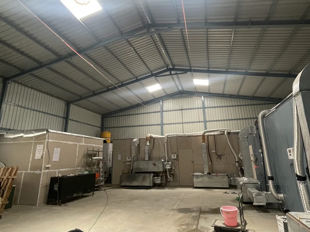 Lion’s Mane mushroom