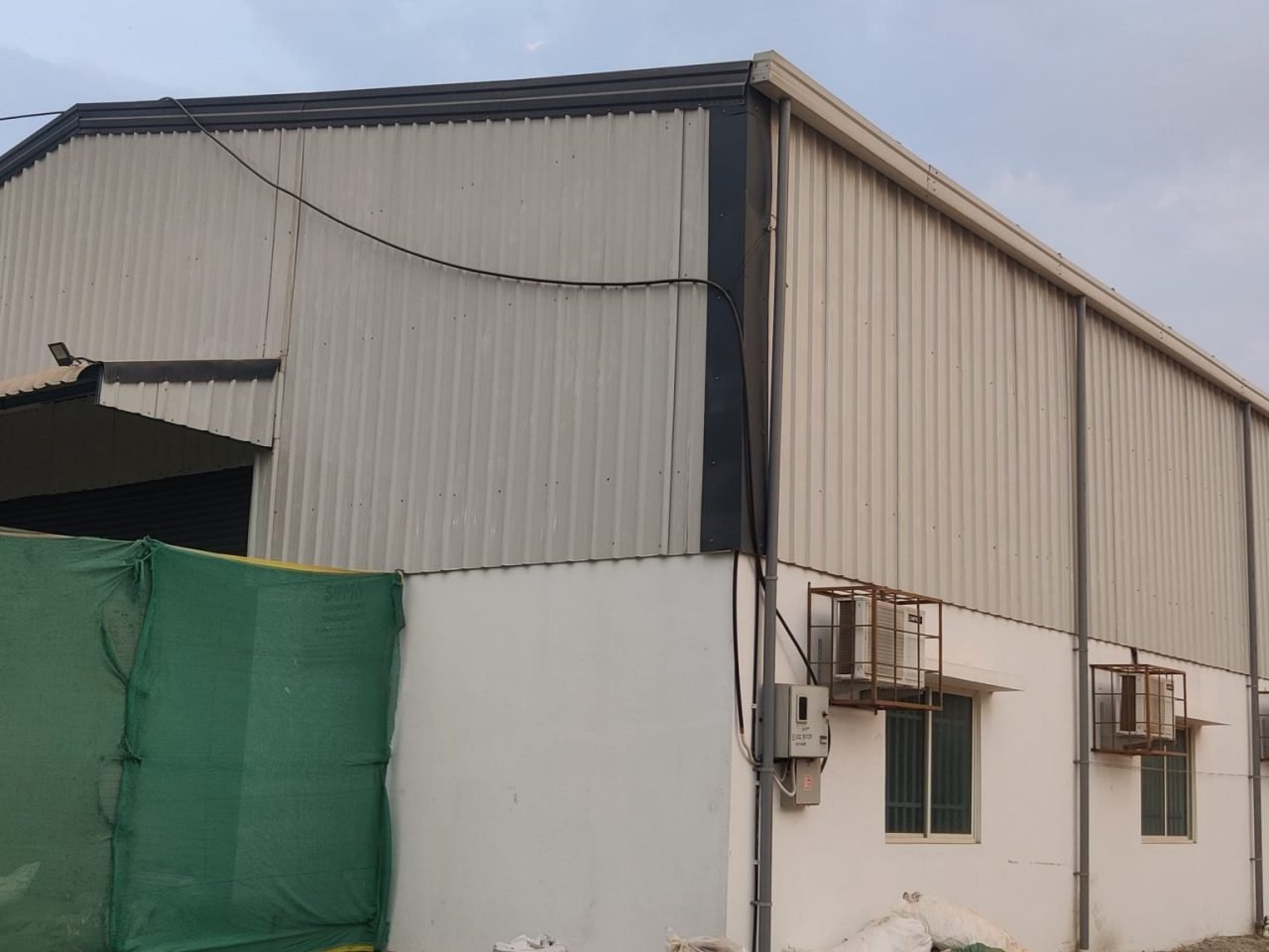 Lion’s Mane mushroom